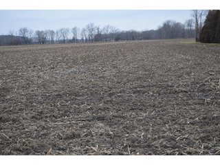 Property photo 55 - 175 Acres Offered in 5 Tracts - Tontogany, Ohio Farm Land Auction